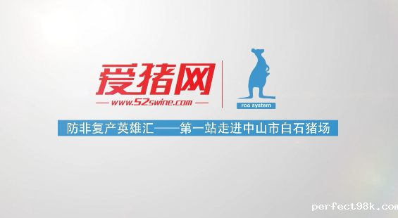 袋鼠国际防非复产英雄汇——对话中山白石：优质种猪与服务成为防非复产两大法宝