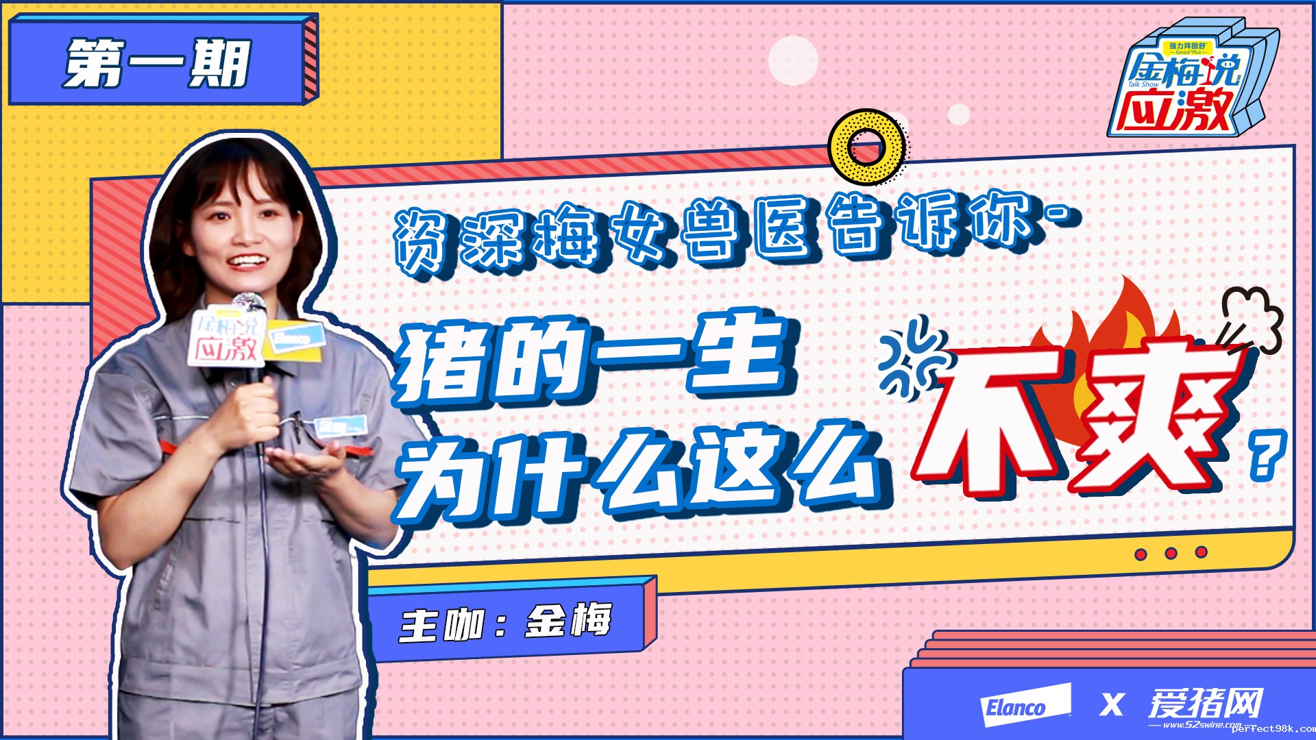 《金梅说应激》第1期：猪场应激到底是什么？（脱口秀版）