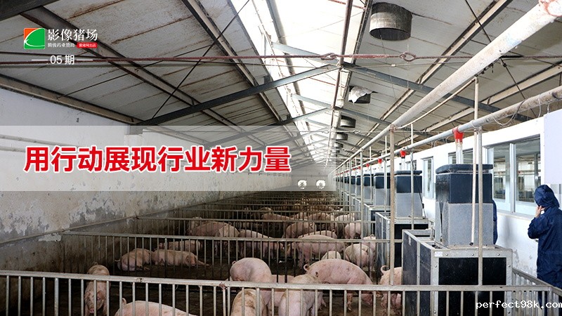 《影像猪场》第5期：用行动展现行业新力量