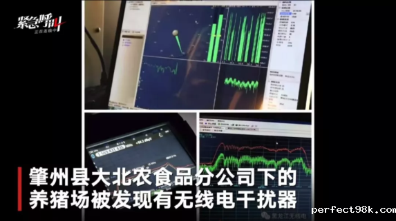新京报 ：别让“炒猪团”跑了 