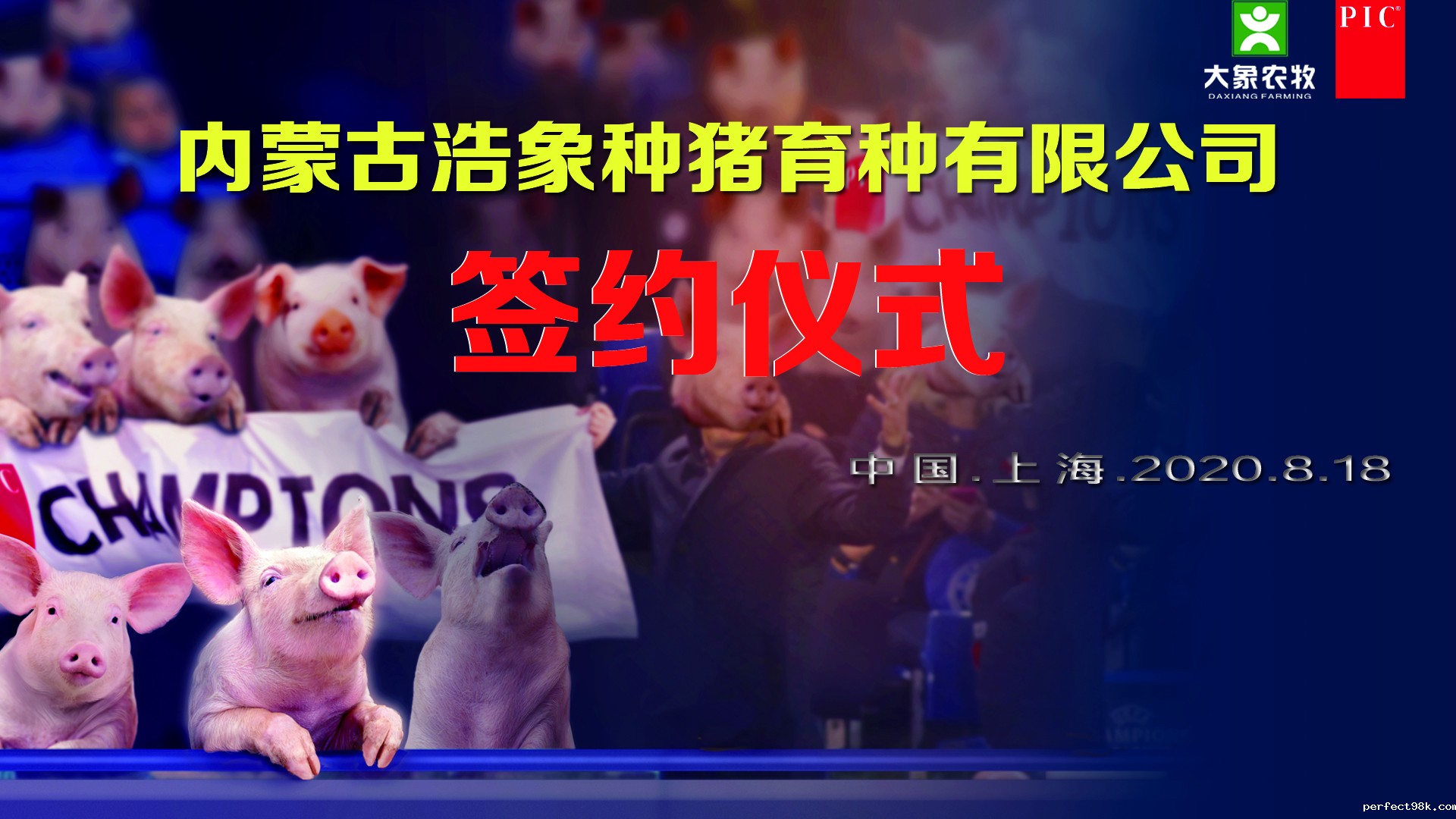 深度报道 | 创建精英猪场，缔造高遗传性能种猪