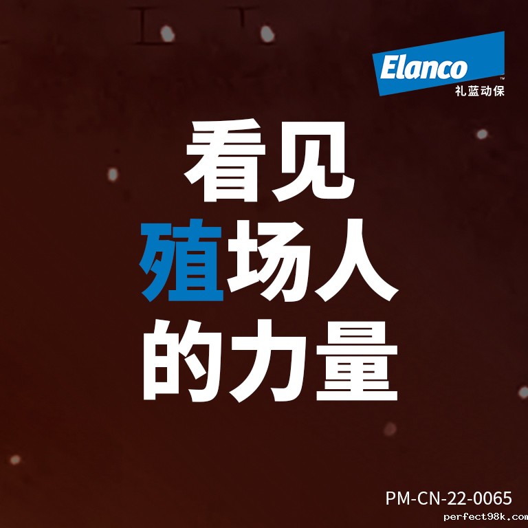 【春节致敬养殖人】看见殖场的力量：您多久没有回家了？