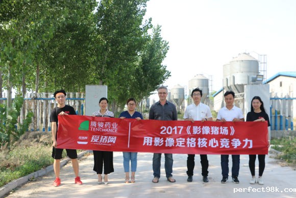 中道农牧技术总监易乐：法系猪如何实现育种质的飞跃？