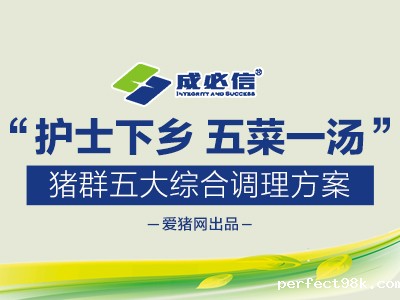 “护士下乡 五菜一汤”猪群五大综合调理方案