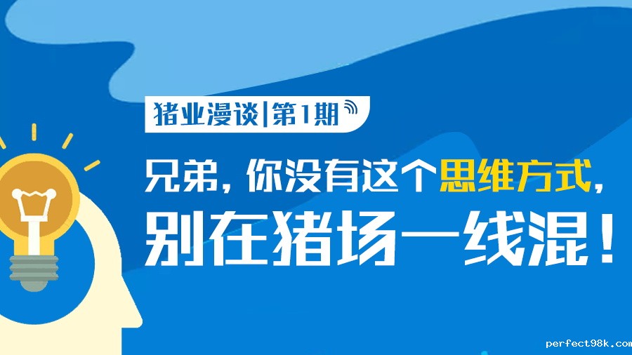猪业漫谈第1期|兄弟，你没有这个思维方式，别在猪场一线混！
