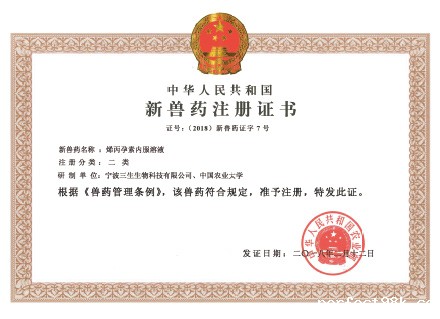 p2.jpg