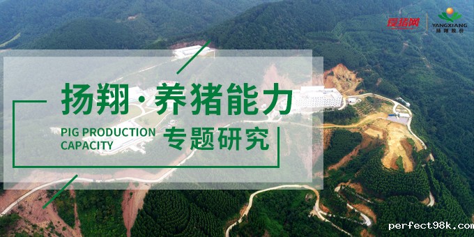 扬翔专题研究.jpg