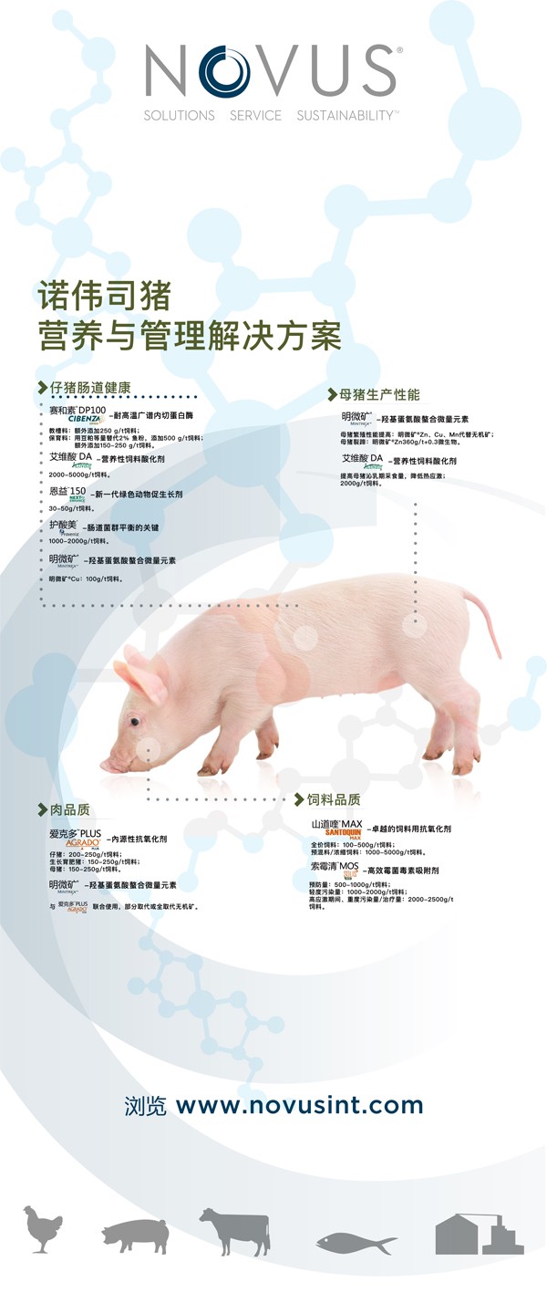 诺伟司.jpg