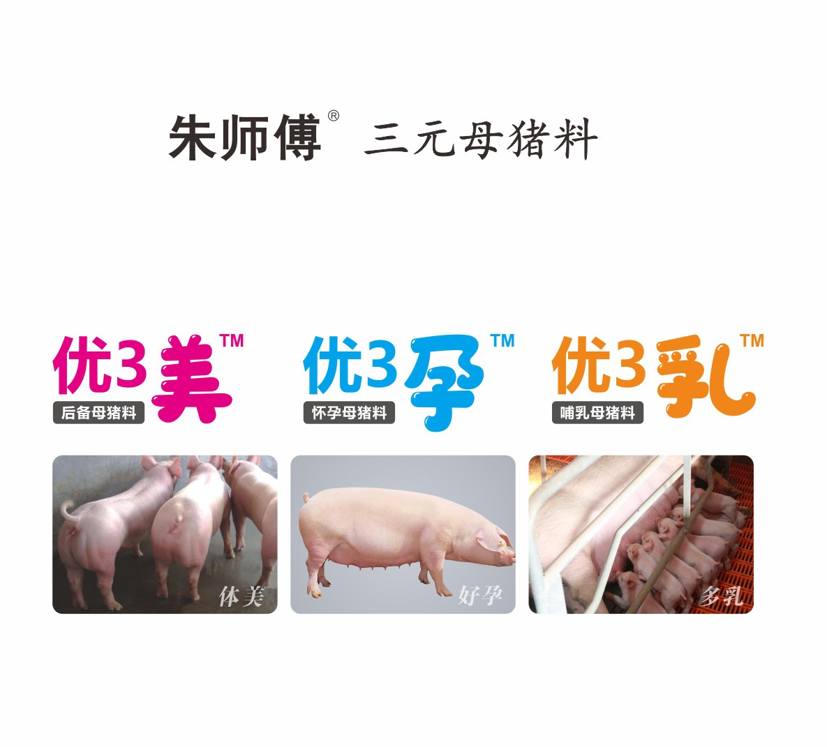 微信图片_20191230144721.jpg