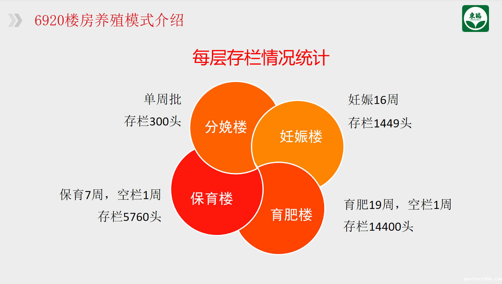 yuanzong1.png