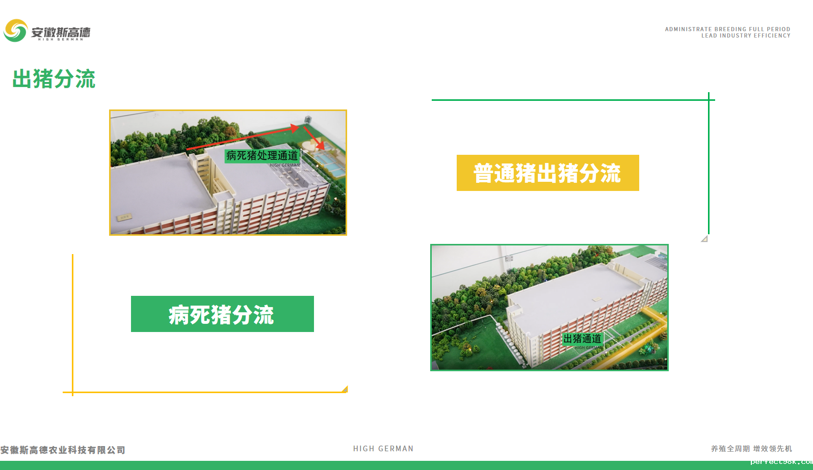 孙总3.png